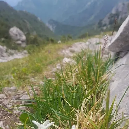 Stephanie - In The Heart Of Alps Above Varenna, Apartment *