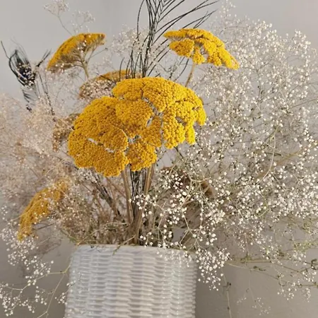 Stephanie - In The Heart Of Alps Above Varenna, Apartment *